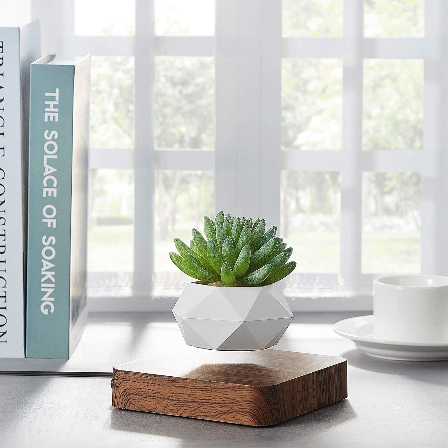 Anti-Gravity Plant Pot