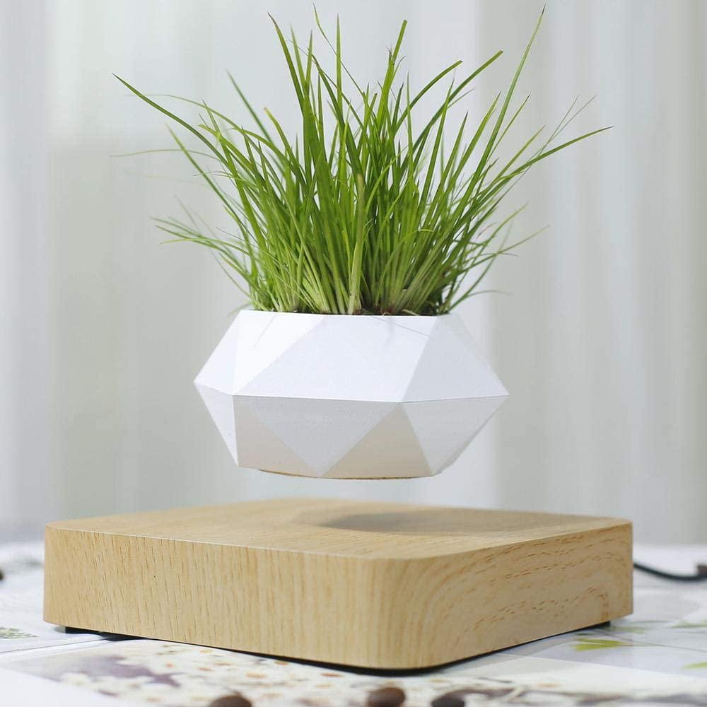 Anti-Gravity Plant Pot