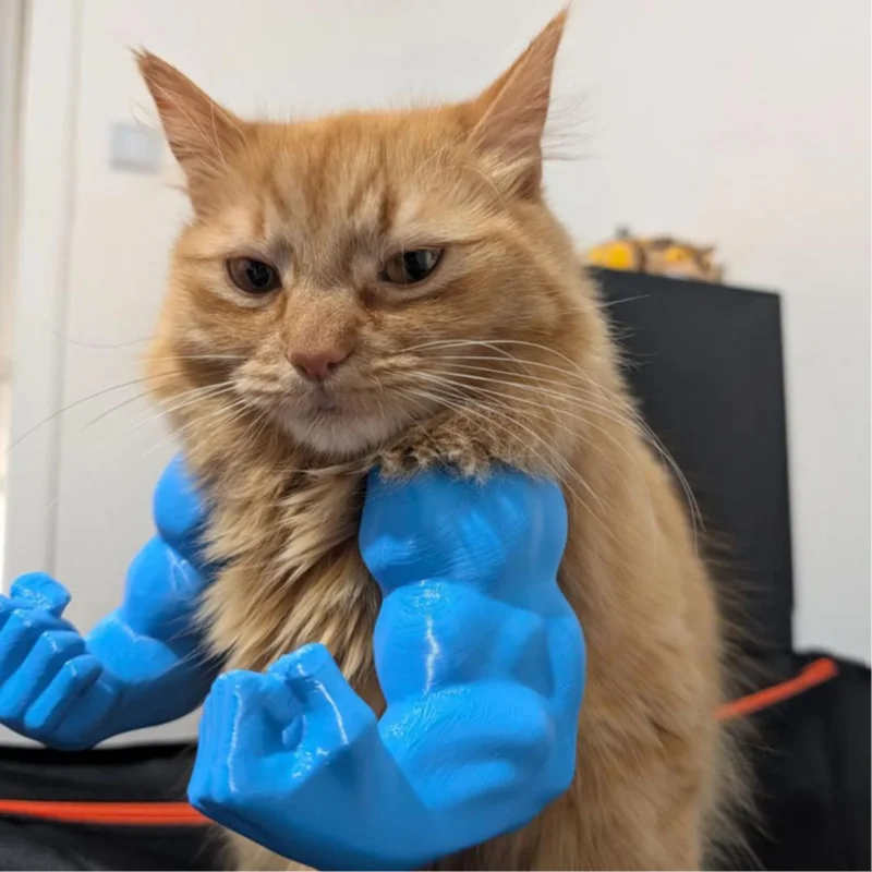 PowerPaws™ 3D Cat Arms
