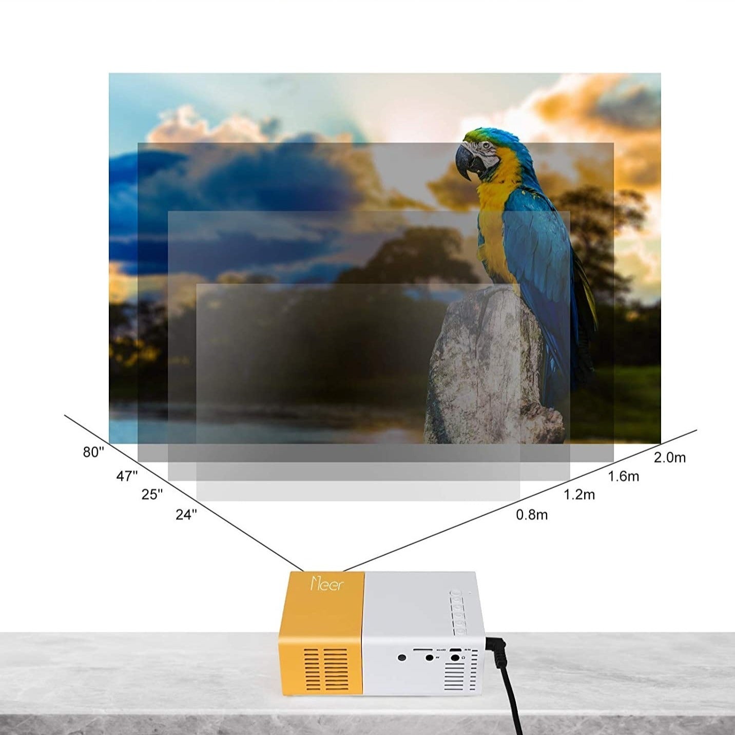 The Pocket Projector™