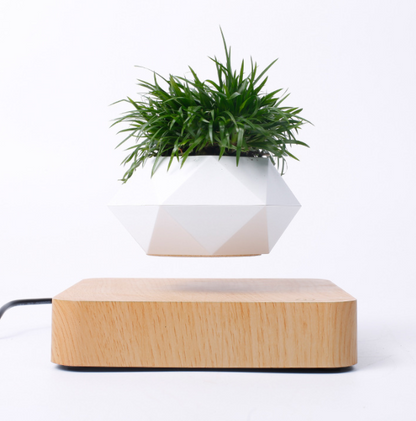 Anti-Gravity Plant Pot