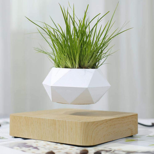 Anti-Gravity Plant Pot